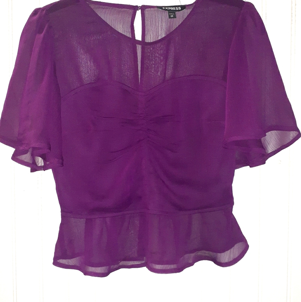Express Sheer Top